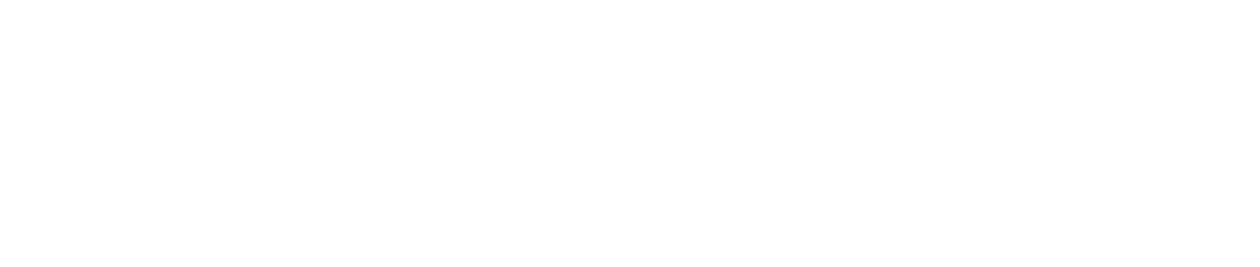 Likemind AI Solutions